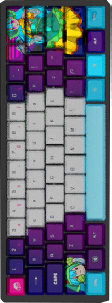 a image of 65% keyboard
        Compatibility